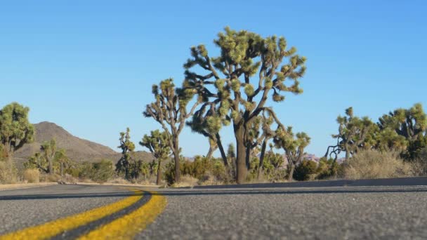 ÁNGULO BAJO: Vista fresca de un camino vacío que atraviesa el pintoresco desierto de Mojave . — Vídeo de stock