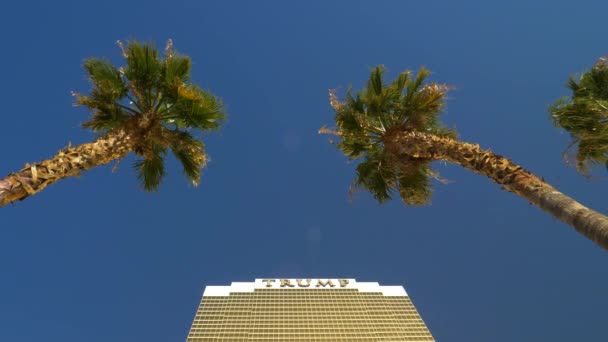 CLOSE UP: Снимок пальм перед золотым небоскребом. — стоковое видео
