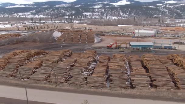AERIAL: Volando alrededor de un gran espacio de almacenamiento en el campo invernal lleno de troncos — Vídeos de Stock