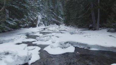 Bir dağ deresi boyunca uçmak, karlı ormanın içinde koşmak..