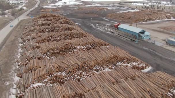 DRONE : Plan spectaculaire de grosses bûches empilées en tas massifs par une scierie. — Video