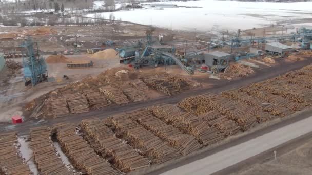 AERIAL: Flying above a sawmill storage area full of big piles of tree trunks. — Stock Video