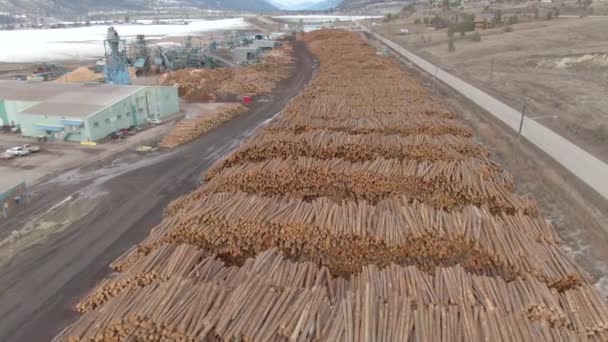 AERIAL: Voando sobre troncos empilhados em pilhas ao lado de serraria perto da estrada do país — Vídeo de Stock