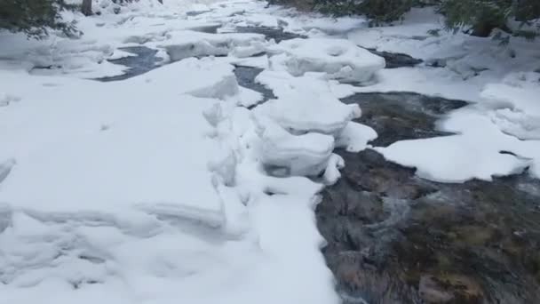 CLOSE UP: Calm river courses through the wintry forest near Whistler, Canada. — Stock Video