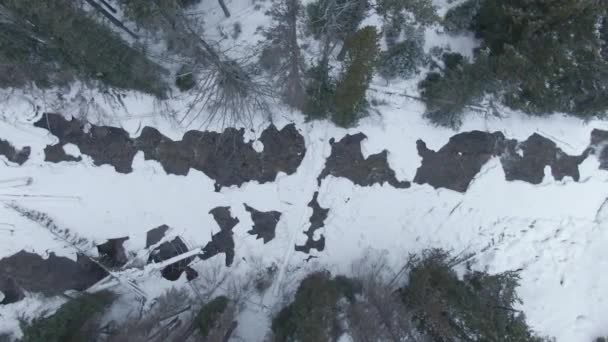 TOP DOWN Voando ao longo de um riacho de montanha que atravessa a pitoresca floresta nevada — Vídeo de Stock