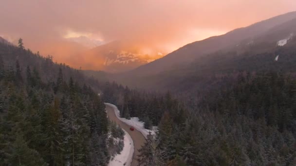 AERIAL Tourists on road trip across Canada drive through misty forest at sunrise — Stock Video