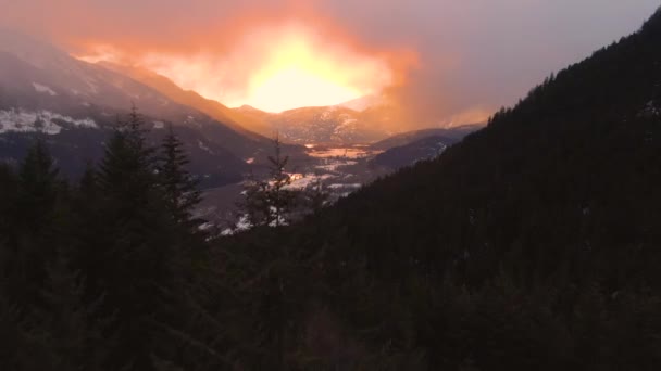 AERIAL: Vliegen over dichte naaldbossen bij Whistler bij pittoreske zonsondergang — Stockvideo