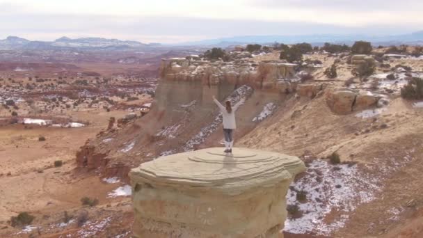 AERIAL: Mujer feliz levanta victoriosamente los brazos mientras observa el cañón desde la roca — Vídeo de stock