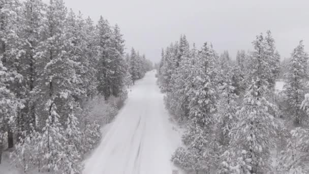 AERIAL: Gruesa manta de nieve fresca cubre la carretera que cruza un bosque en Canadá. — Vídeo de stock