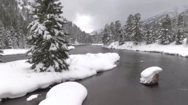 Geniş bir nehir ormanın içinden akar, kışın Alberta vadisiyle kaplıdır..