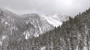 Alberta 'daki karlı ormanın derinliklerinde yüksek bir dağa doğru uçuyor..