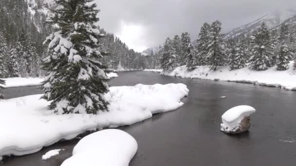 AERIAL: Stora floder rinner genom den skogstäckta dalen i vintriga Alberta. — Stockvideo