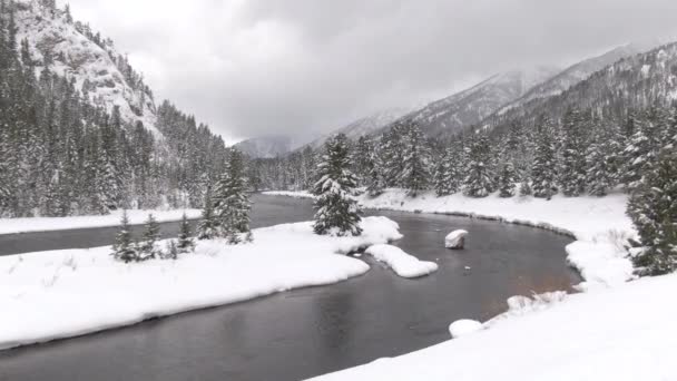 드론: 캐나다 의산 맥을 둘러싸고 있는 가문비나무 숲의 모습. — 비디오