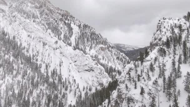 AERIAL: Mörka moln samlas ovanför granskogen som täcker den snöiga dalen — Stockvideo