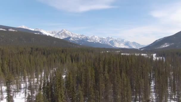 DRONE: Überfliegen von Wäldern, die das Tal unter einer Bergkette in Alberta bedecken. — Stockvideo