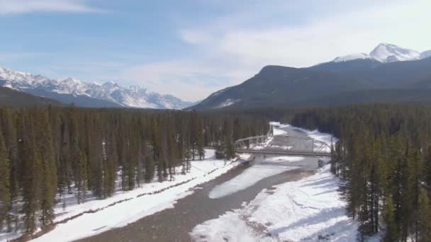 AERIAL: Überflug einer Brücke über den Bach, der durch das Tal fließt. — Stockvideo