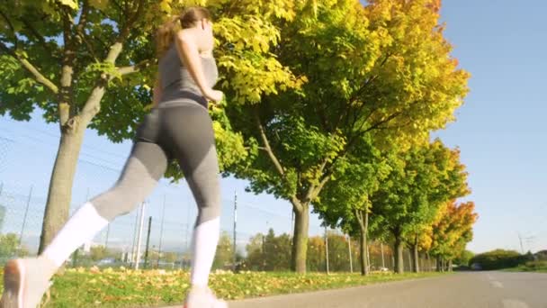 LOW ANGLE: Energetisches kaukasisches Mädchen joggt die schöne, herbstfarbene Allee entlang — Stockvideo