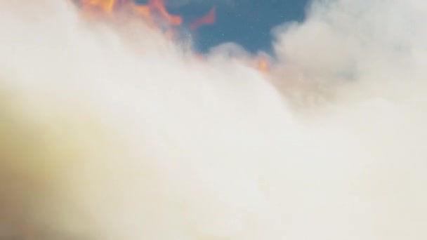 MACRO: Weißes Feuerlöschpulver löscht brennenden Kartonhaufen. — Stockvideo