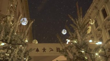 İki Noel ağacı gece gökyüzünden düşen kar tanelerini topluyor..