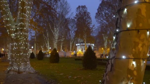 CERRAR: Las luces blancas de Navidad convierten un parque en un maravilloso paraíso invernal . — Vídeos de Stock