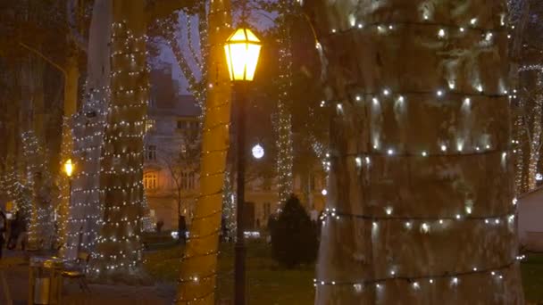 FECHAR UP: Fotografia panorâmica do belo parque de advento em Zagreb em uma noite agitada . — Vídeo de Stock