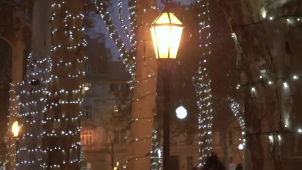 FECHAR-SE: Pequenos flocos de neve começam a cair do céu e passado uma lanterna acesa . — Vídeo de Stock