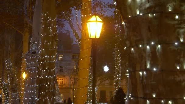 CLOSE UP: Lamp lights up the festive Christmas park on a cold night in Zagreb. — Stock Video