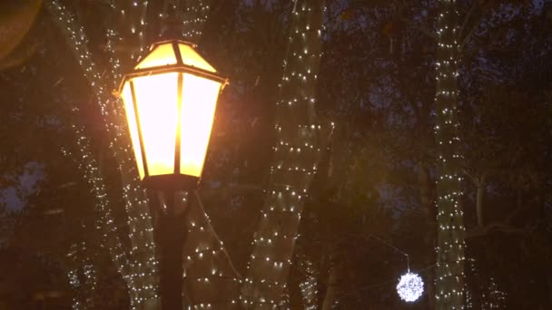 COPY SPACE: Tiny snowflakes start falling from the sky and past a lantern. — Stock Video