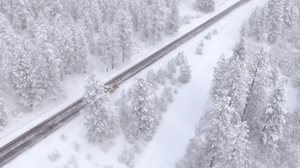 DRONE: Snöplogbil rengör landsvägen som leder genom skogen. — Stockvideo