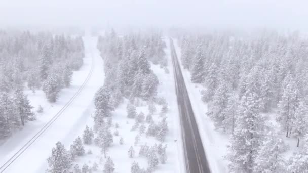 空気:雪の森をリードする道路や電車のトラックに沿って飛ぶ — ストック動画
