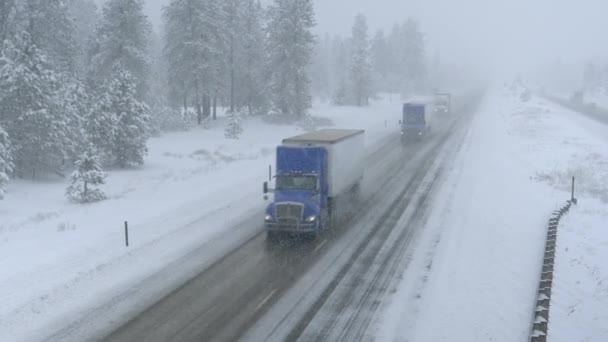 รถบรรทุกขนตู้คอนเทนเนอร์ข้ามรัฐวอชิงตันและผ่านพายุหิมะ . — วีดีโอสต็อก
