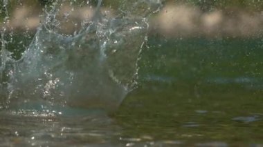 Nehir yüzeyinden yansıyan yumuşak çakıl taşından sonra cam gibi su sıçrıyor..