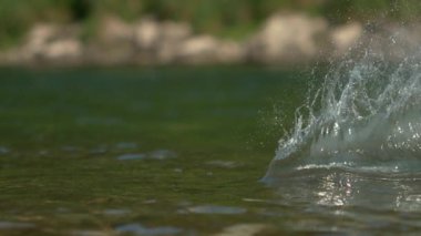 Dağ deresinin parıldayan yüzeyinde pürüzsüz bir çakıl taşı süzülüyor..