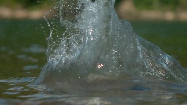 MACRO, DOF: Gladde grijze rots stort neer in een ondiepe glinsterende bergstroom. — Stockvideo