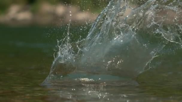 MACRO: El agua cristalina brilla a la luz del sol después de que la roca se desploma en el río — Vídeo de stock