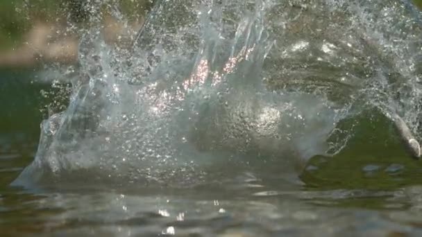 Cinematografische opname van een plat kiezelsteentje dat stuitert op het oppervlak van een kalme beek. — Stockvideo
