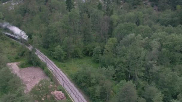 AERIAL: Museu Vintage sopros locomotiva através da floresta e sobre o rio vítreo — Vídeo de Stock