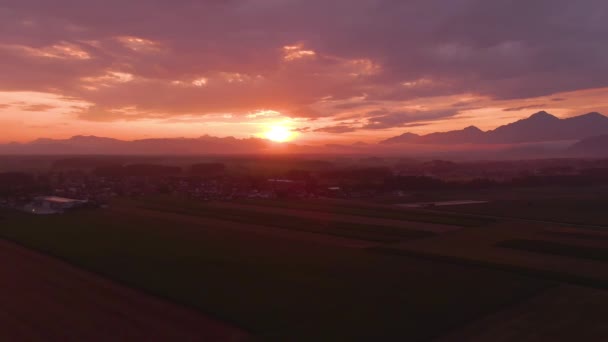 AERIAL: Пролетая над полями пшеницы и вдали от сельского города в солнечный вечер. — стоковое видео