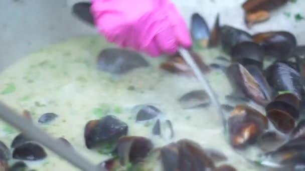 Vaření velký kotel čerstvých mussles na festivalu pouličních potravin — Stock video