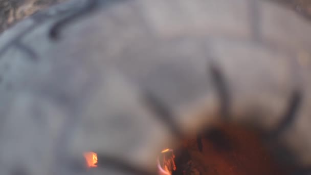 Feu brûlant et charbons lumineux .