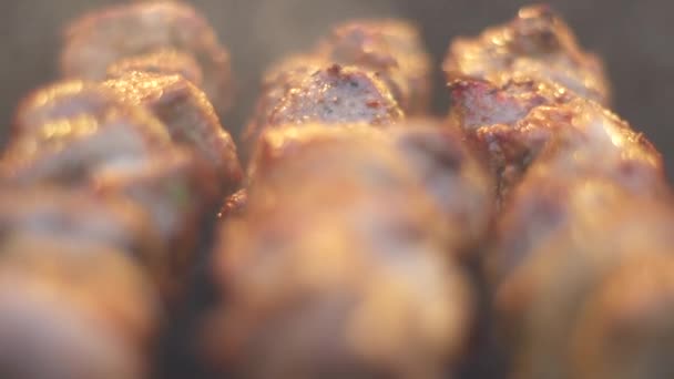 Rotisserie grill 회전 슬로우 모션 — 비디오