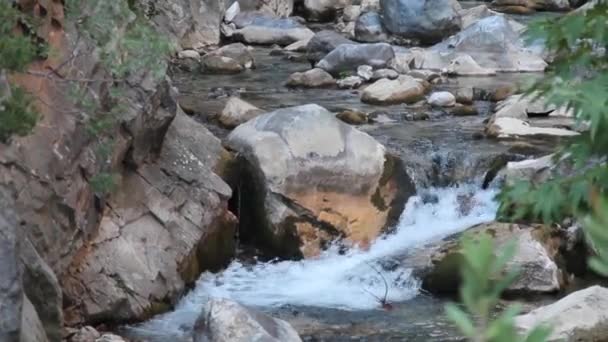 Водопад на небольшой горной реке — стоковое видео