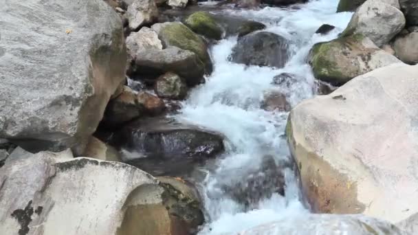 Cascada en el pequeño río de montaña — Vídeo de stock