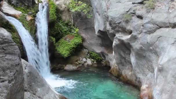 Wasserfall am kleinen Gebirgsfluss — Stockvideo