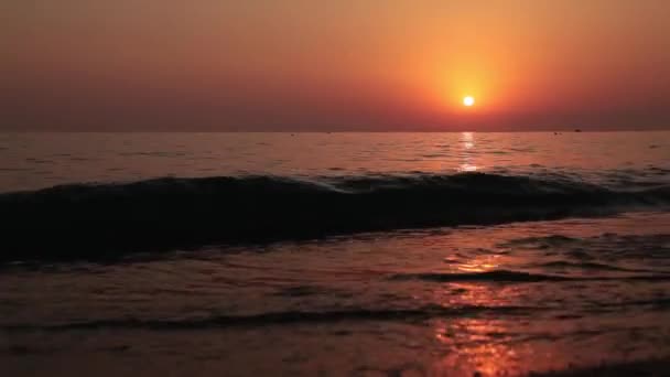 A naplemente a tengeren. Egy hullám a homokon — Stock videók