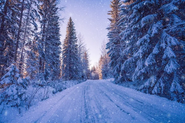 Schöne Winterlandschaft: verschneiter Wald an sonnigem Tag — Stockfoto