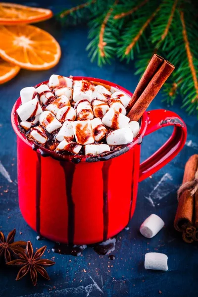 Cacau quente com chocolate, marshmallow e canela — Fotografia de Stock