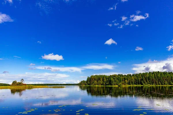 在夏天芬兰湖景观 — 图库照片