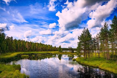 Pastoral yaz manzarası ile Finlandiya gölde temizleyin