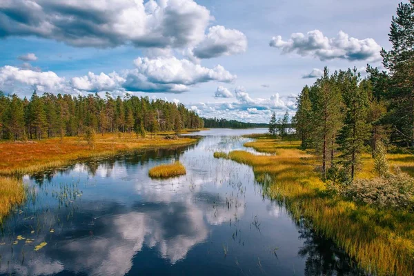 Paisagem de verão idílica com lago claro na Finlândia — Fotografia de Stock